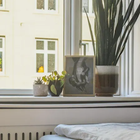 Nyistandsat 1br Lejlighed I Hjertet Af Norrebro Apartment Copenhagen